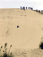砂丘滑り